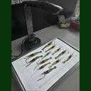 點(diǎn)擊查看 SC-B型魚(yú)蝦苗自動(dòng)測(cè)量分析儀 詳細(xì)